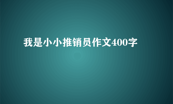 我是小小推销员作文400字