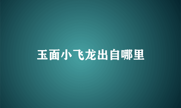 玉面小飞龙出自哪里