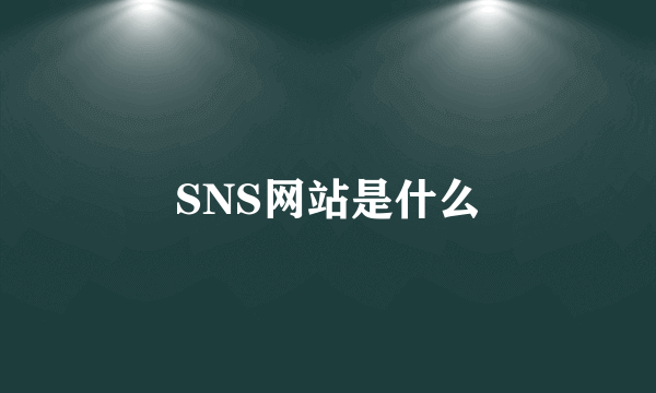 SNS网站是什么