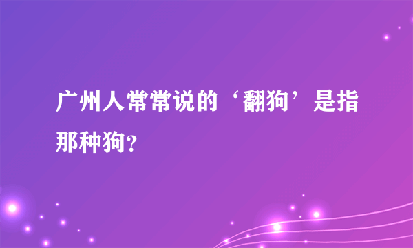 广州人常常说的‘翻狗’是指那种狗？