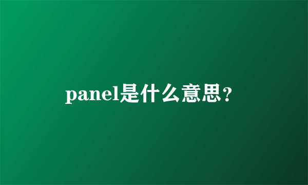 panel是什么意思？