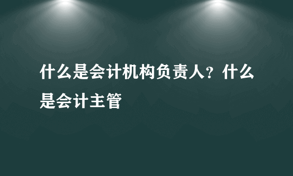 什么是会计机构负责人？什么是会计主管