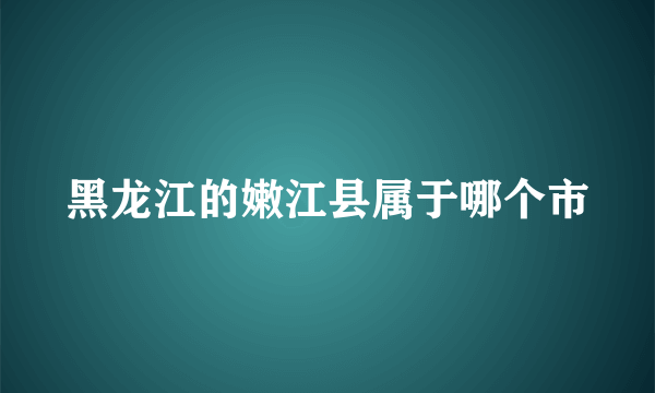 黑龙江的嫩江县属于哪个市