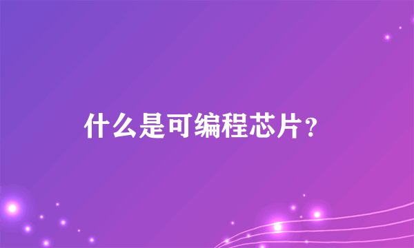 什么是可编程芯片？