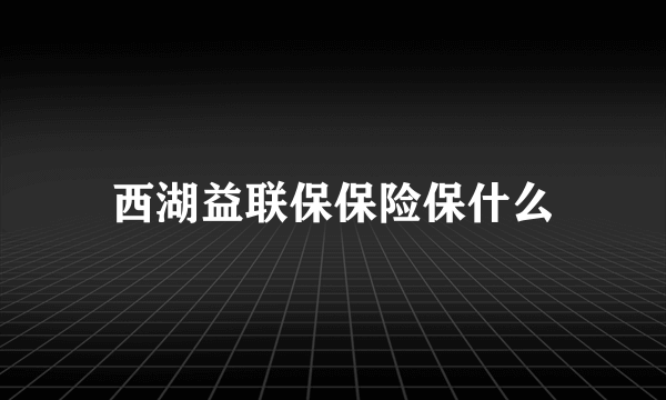 西湖益联保保险保什么