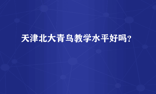 天津北大青鸟教学水平好吗？