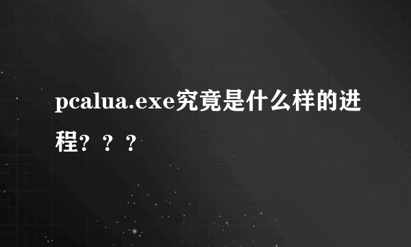 pcalua.exe究竟是什么样的进程？？？