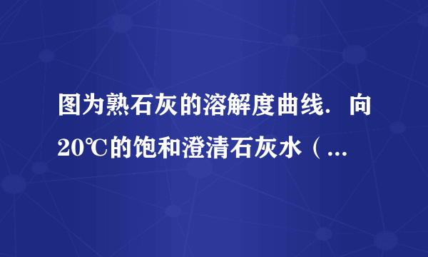 图为熟石灰的溶解度曲线．向20℃的饱和澄清石灰水（甲溶液）中加入少量氧化钙（CaO）粉末，充分反应．下