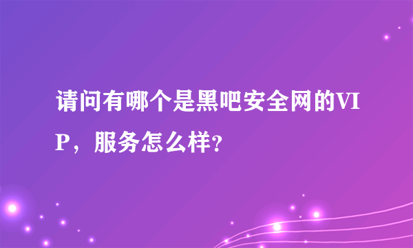 请问有哪个是黑吧安全网的VIP，服务怎么样？