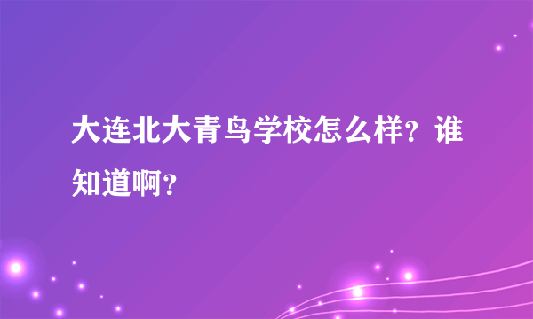 大连北大青鸟学校怎么样？谁知道啊？