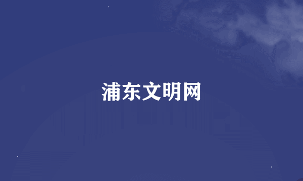 浦东文明网