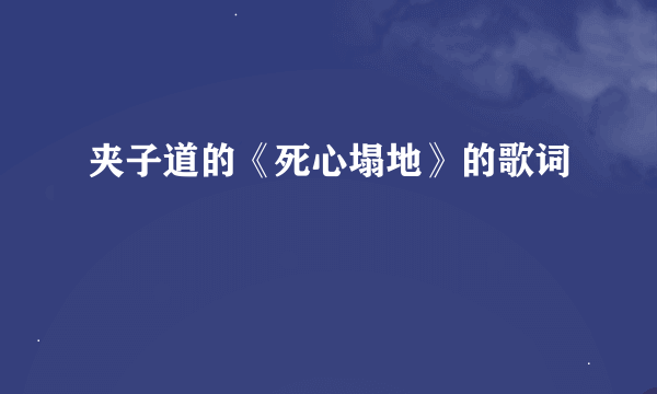 夹子道的《死心塌地》的歌词