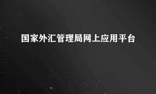 国家外汇管理局网上应用平台