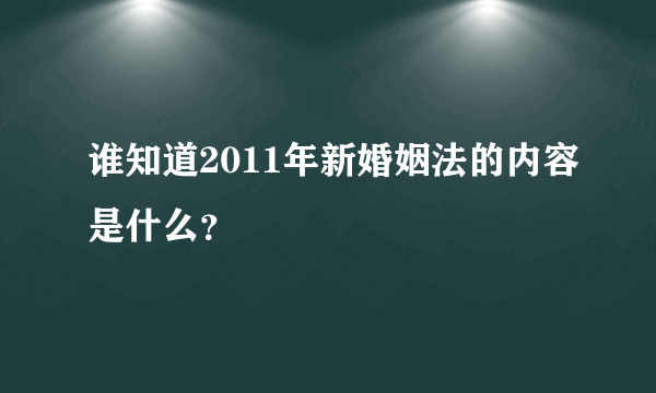 谁知道2011年新婚姻法的内容是什么？