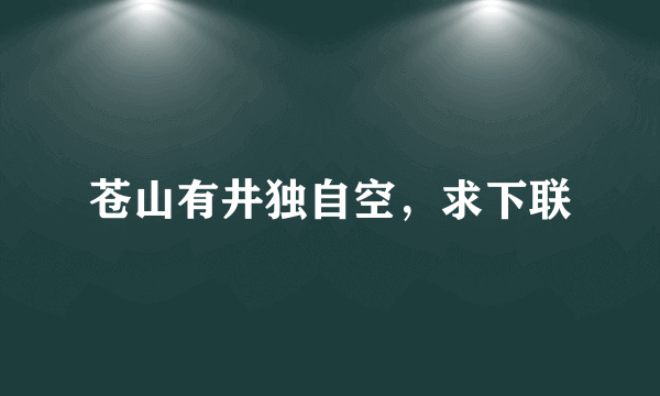 苍山有井独自空，求下联