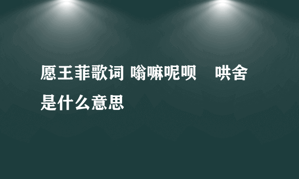 愿王菲歌词 嗡嘛呢呗嚒哄舍 是什么意思