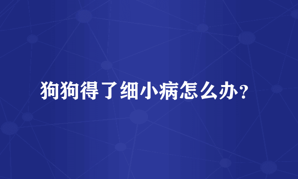 狗狗得了细小病怎么办？