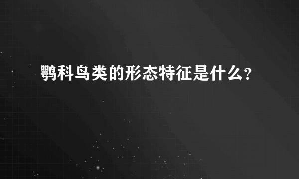 鹗科鸟类的形态特征是什么？