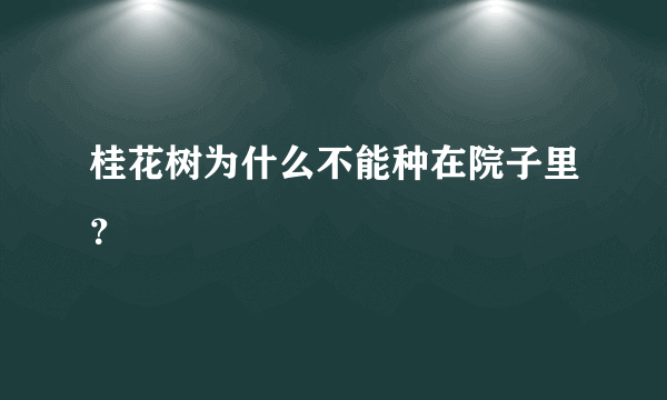 桂花树为什么不能种在院子里？