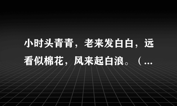 小时头青青，老来发白白，远看似棉花，风来起白浪。（打一植物）