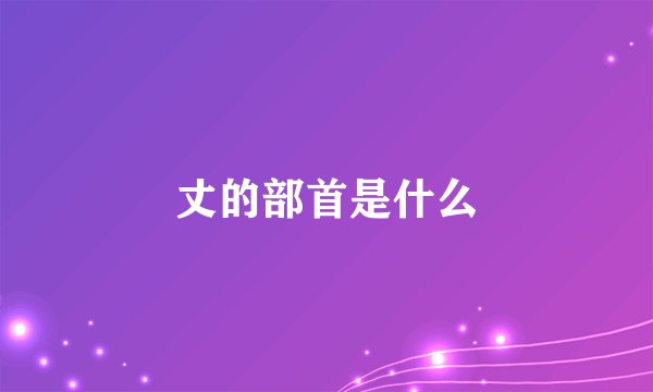 丈的部首是什么