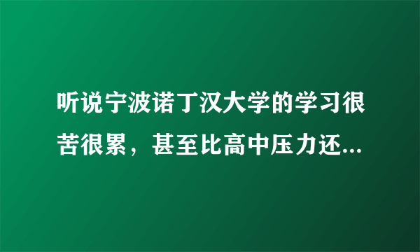 听说宁波诺丁汉大学的学习很苦很累，甚至比高中压力还要大，是真的吗？