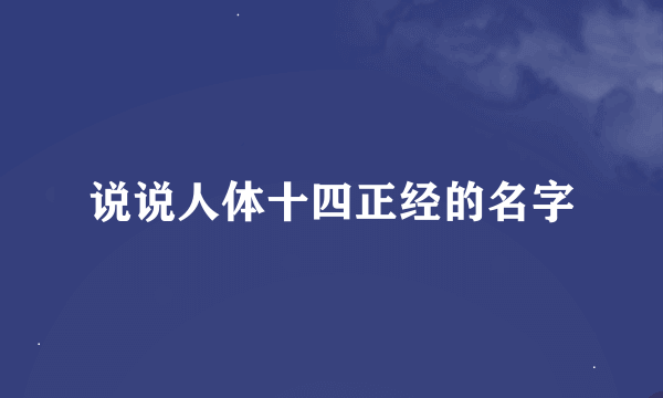 说说人体十四正经的名字