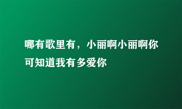 哪有歌里有，小丽啊小丽啊你可知道我有多爱你