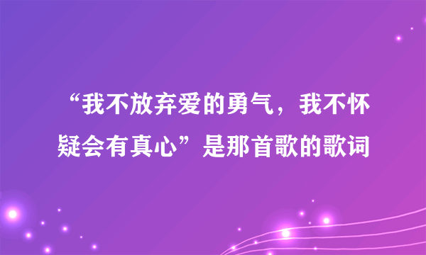 “我不放弃爱的勇气，我不怀疑会有真心”是那首歌的歌词