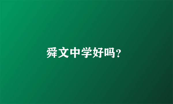 舜文中学好吗？