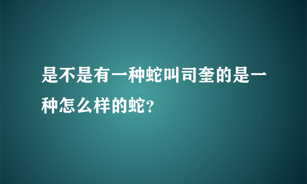 是不是有一种蛇叫司奎的是一种怎么样的蛇？