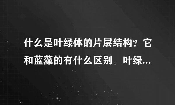 什么是叶绿体的片层结构？它和蓝藻的有什么区别。叶绿体内部不是只有基粒和基质么？请各位兄弟帮帮我。