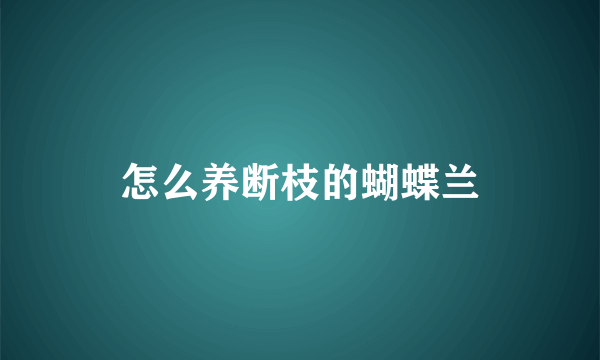 怎么养断枝的蝴蝶兰