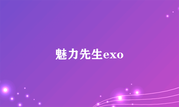 魅力先生exo