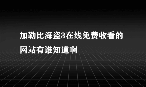 加勒比海盗3在线免费收看的网站有谁知道啊