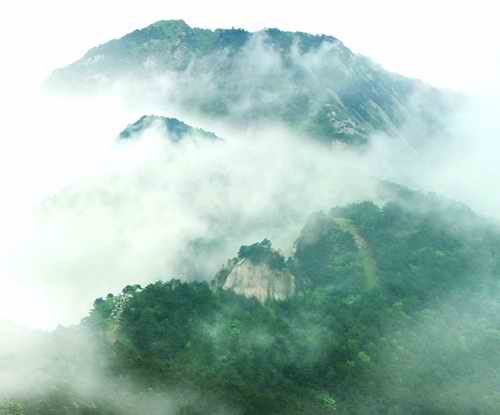 大别山的主要特产