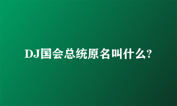 DJ国会总统原名叫什么?