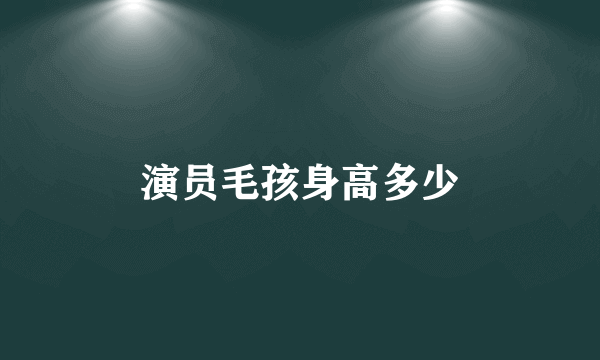 演员毛孩身高多少