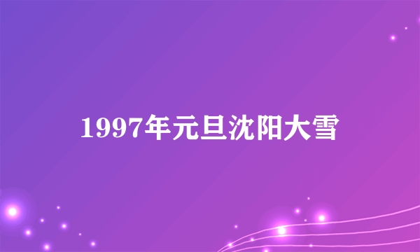 1997年元旦沈阳大雪