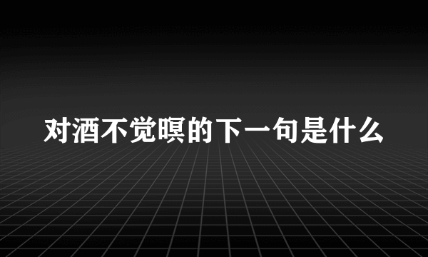 对酒不觉暝的下一句是什么