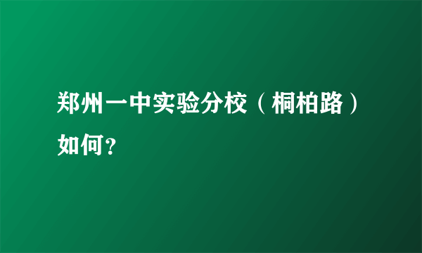 郑州一中实验分校（桐柏路）如何？