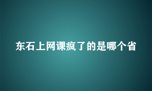 东石上网课疯了的是哪个省