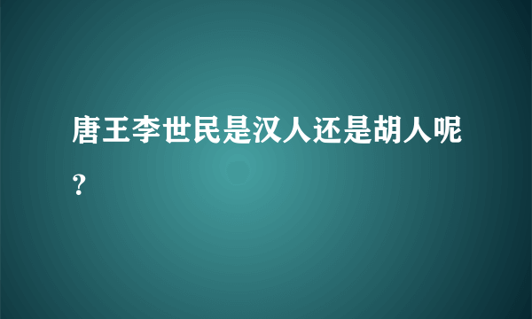 唐王李世民是汉人还是胡人呢？