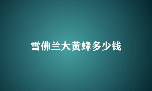 雪佛兰大黄蜂多少钱