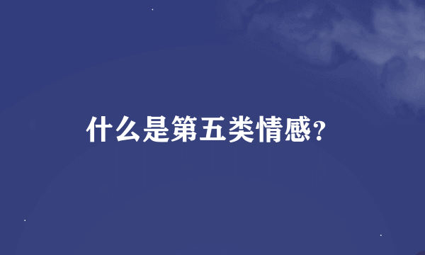 什么是第五类情感？