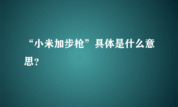 “小米加步枪”具体是什么意思？