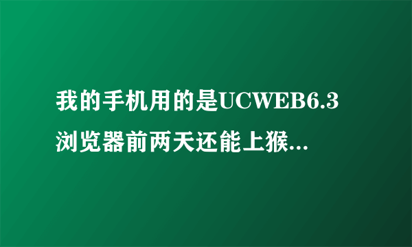 我的手机用的是UCWEB6.3浏览器前两天还能上猴岛论坛，这两天不能上了。