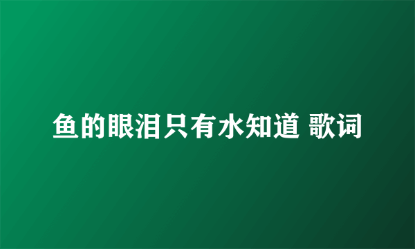 鱼的眼泪只有水知道 歌词