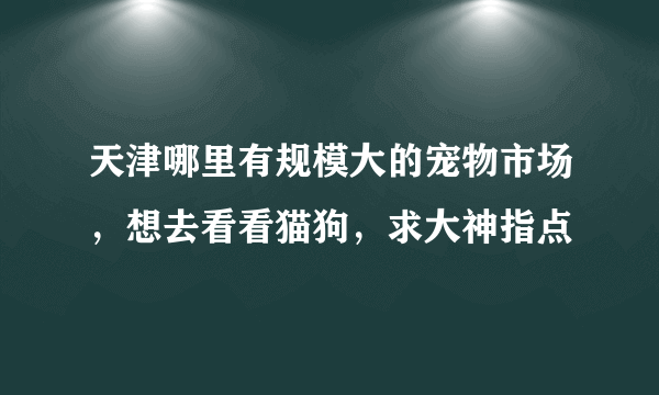 天津哪里有规模大的宠物市场，想去看看猫狗，求大神指点