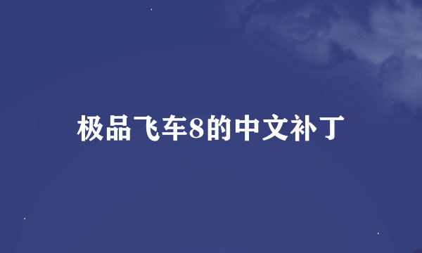 极品飞车8的中文补丁